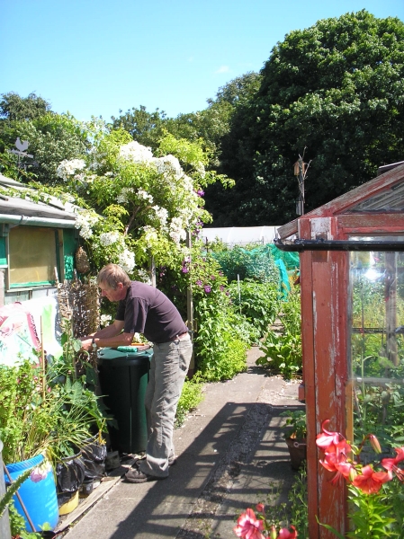 Sefton Park Allotments